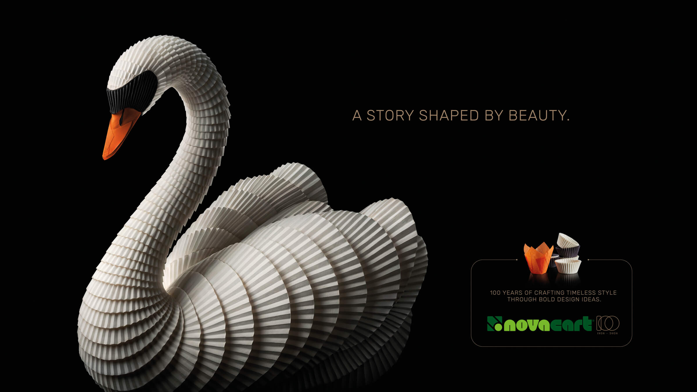 Novacart Homepage Cigno